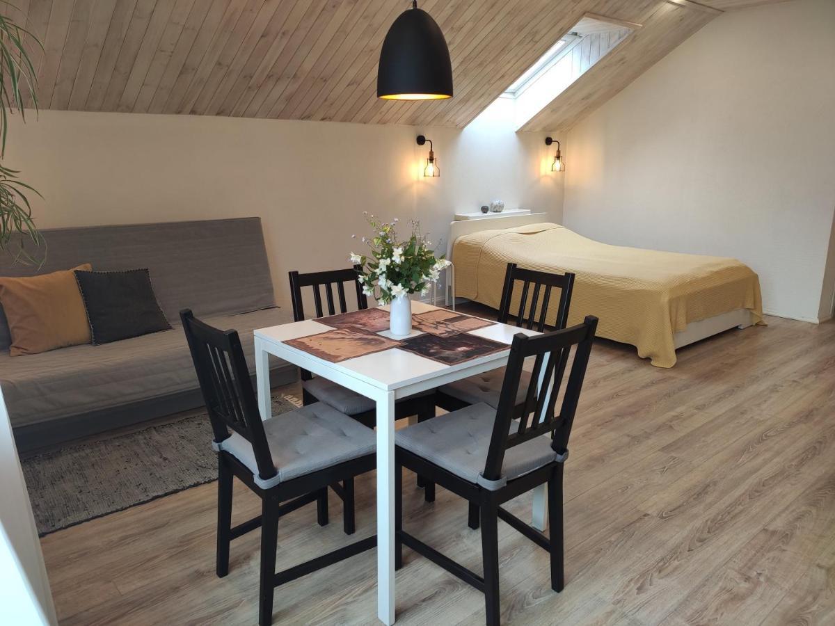 Hotel Family House Druskieniki Zewnętrze zdjęcie